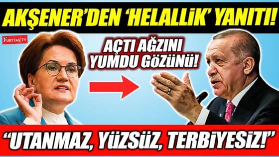 Meral Akşener’den Erdoğan’a çok sert ‘helallik’ yanıtı! “Yüzsüz, utanmaz, terbiyesiz…”